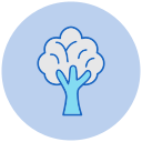 Árbol icon