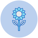 girasol icon