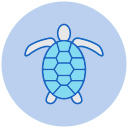 tortuga icon