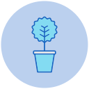 myrtus icon