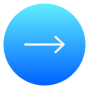 flecha correcta icon