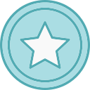 estrella icon