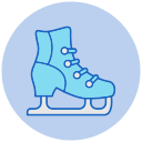 zapato icon