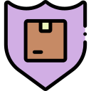 seguro icon