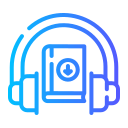 audio icon