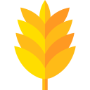 palmera icon