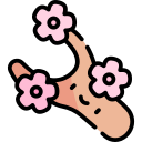 sakura icon