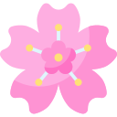 sakura icon