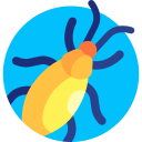 cucaracha icon