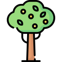 Árbol icon