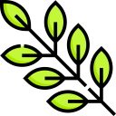 aceituna icon