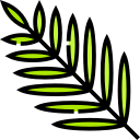 palmera icon