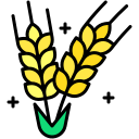 trigo icon