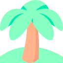 palmera