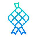 Ketupat icon