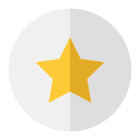 estrella icon