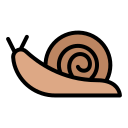 caracol