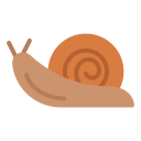 caracol icon