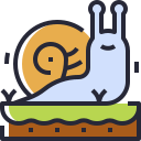 caracol icon