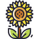 girasol icon