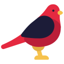 pájaro icon