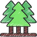 forêt
