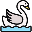 cisne icon