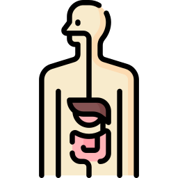 Gastrointestinal tract - Free healthcare and medical icons