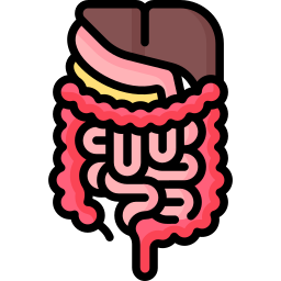 Gastrointestinal tract - Free healthcare and medical icons