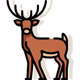 deer hoof prints - Google Search  Deer tracks, Deer decal, Deer track  tattoo