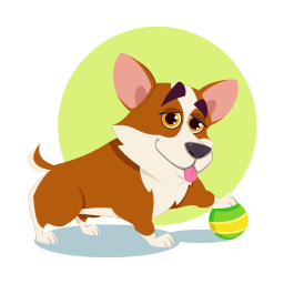 corgi 