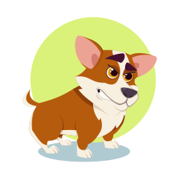 corgi 