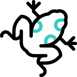 Dendrobatidae Free animals icons