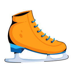 zapatos de patinaje 