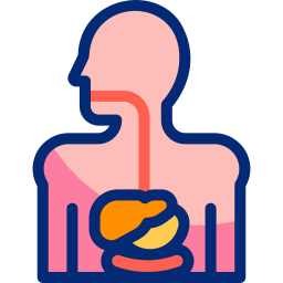 Digestive system Animated Icon | Free healthcare and medical Animated Icon