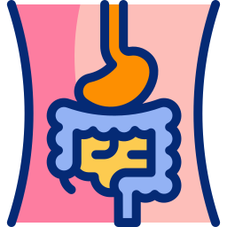 Digestive system Animated Icon | Free healthcare and medical Animated Icon