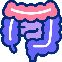 Intestines Animated Icon | Free healthcare and medical Animated Icon