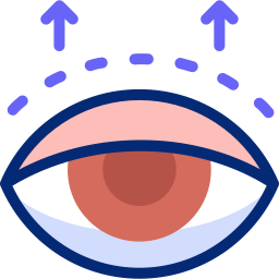 Eyelid Animated Icon | Free healthcare and medical Animated Icon