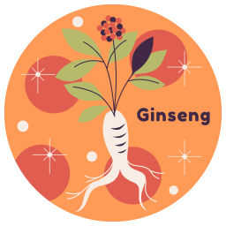 ginseng sticker