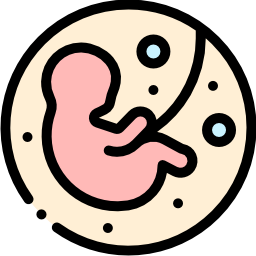 fetus icon