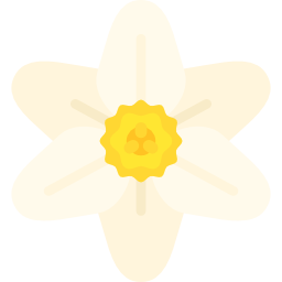 Narcissus - Free nature icons