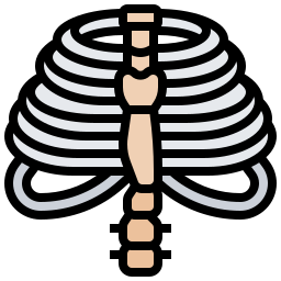 Thorax - Free medical icons