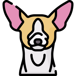 Chihuahua - Free animals icons