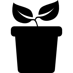 Plant with two leaves on a pot side view - Free nature icons