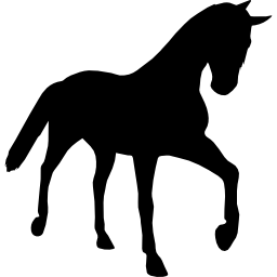 Horse young black silhouette in perspective - Free animals icons