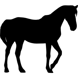 Horse black silhouette - Free animals icons