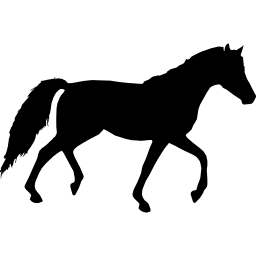 Horse black walking silhouette facing to right - Free animals icons