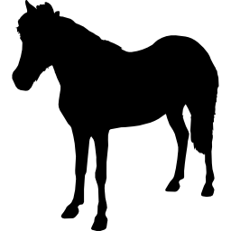 Horse standing animal black shape facing left - Free animals icons