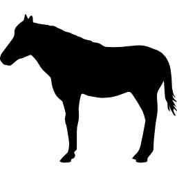 Horse standing black shape from side view - Free animals icons