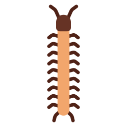 Centipede - Free Animals Icons